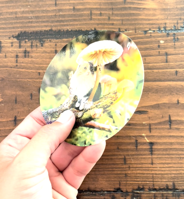 Holographic sticker image of a cat hiding under the cap of a mushroom.